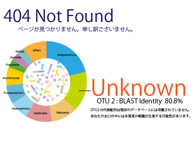 404　Not Found